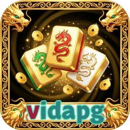 vidapg